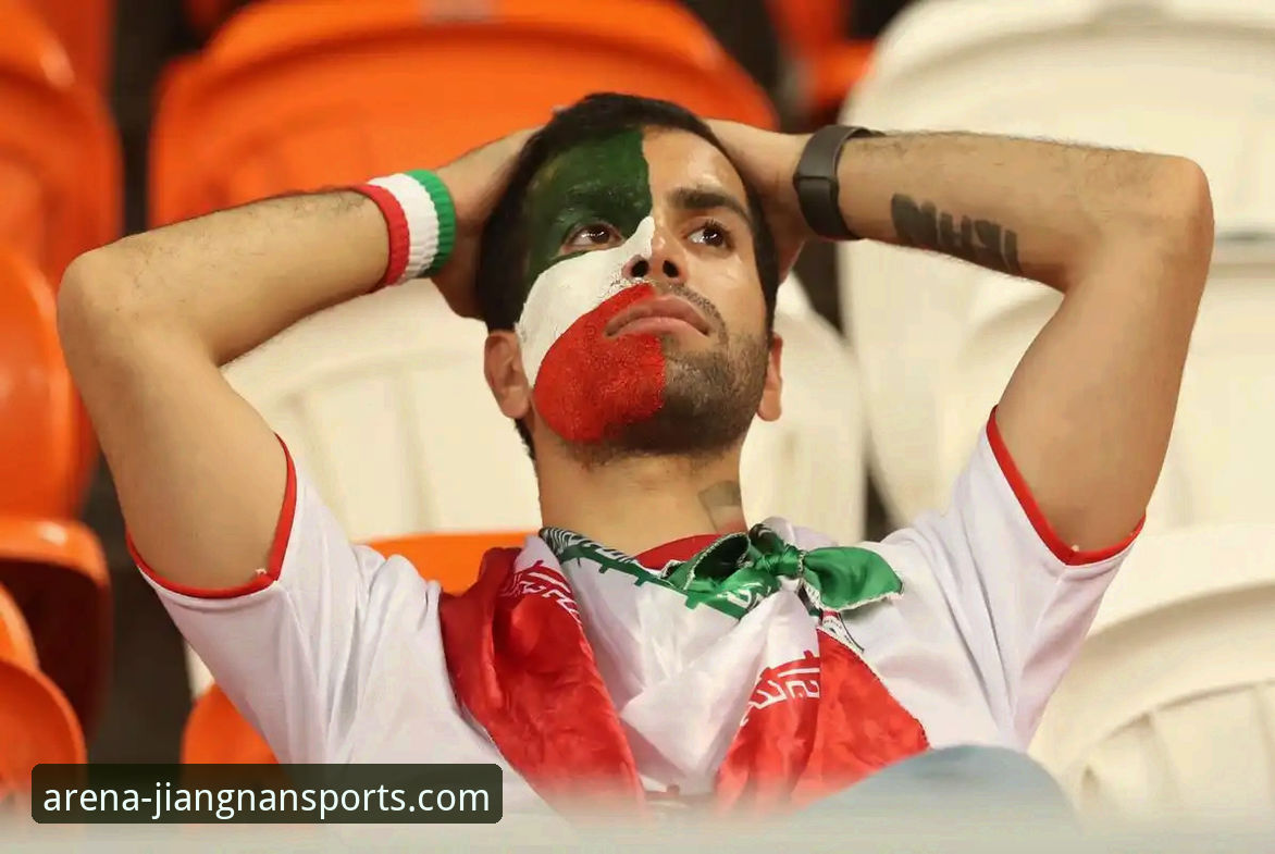 波黑点球决胜创造历史，意大利梦碎连续三届无缘世界杯